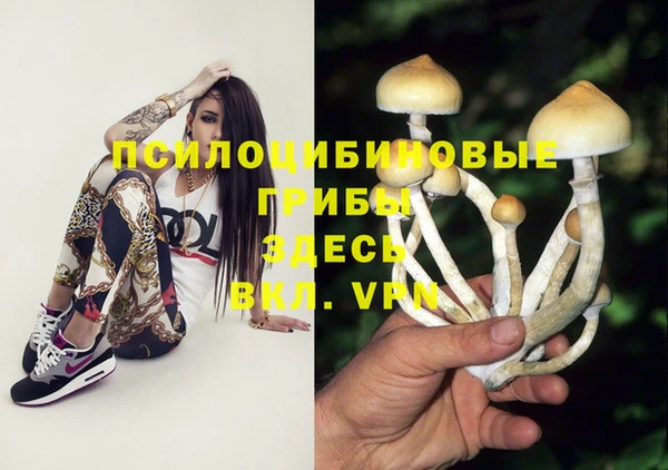 сатива Абинск
