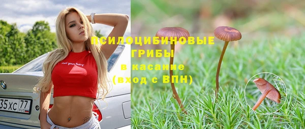 сатива Абинск