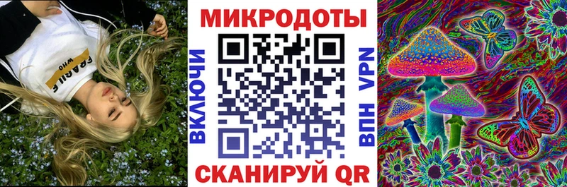 Галлюциногенные грибы Psilocybe  где найти наркотики  дарк нет состав  Ленинградская 